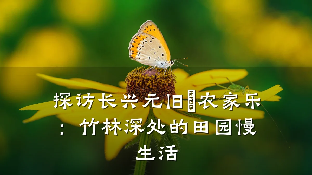 探访长兴元旧岕农家乐:竹林深处的田园慢生活