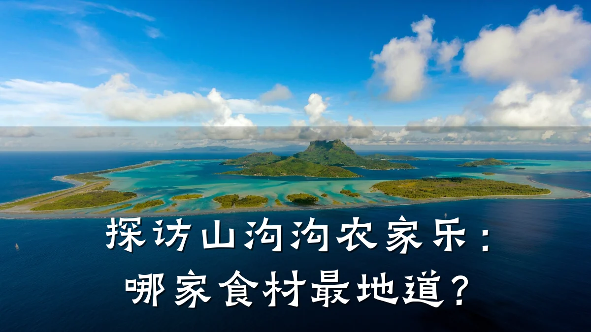 探访山沟沟农家乐:哪家食材最地道?