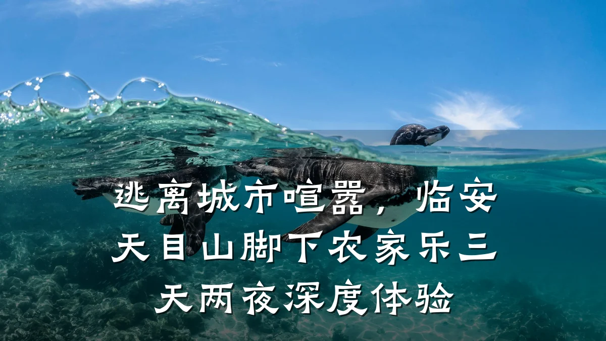 逃离城市喧嚣,临安天目山脚下农家乐三天两夜深度体验