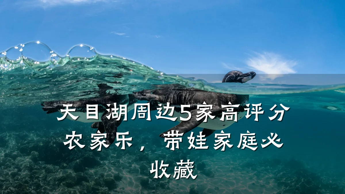天目湖周边5家高评分农家乐,带娃家庭必收藏