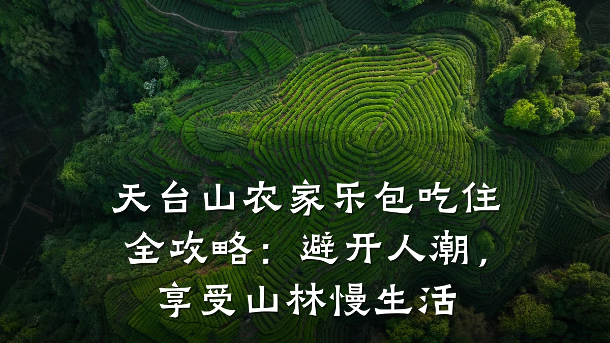 天台山农家乐包吃住全攻略:避开人潮,享受山林慢生活