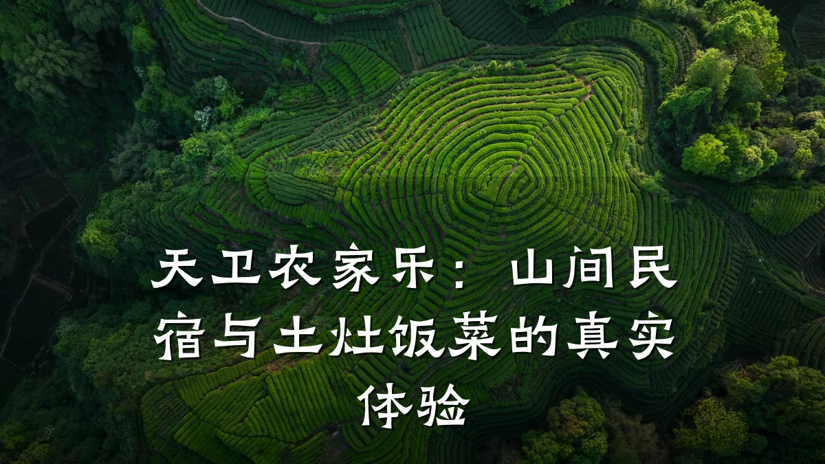 天卫农家乐:山间民宿与土灶饭菜的真实体验