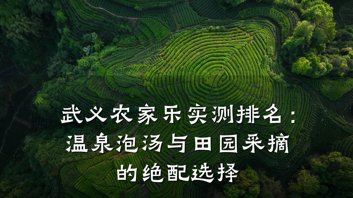 武义农家乐实测排名:温泉泡汤与田园采摘的绝配选择