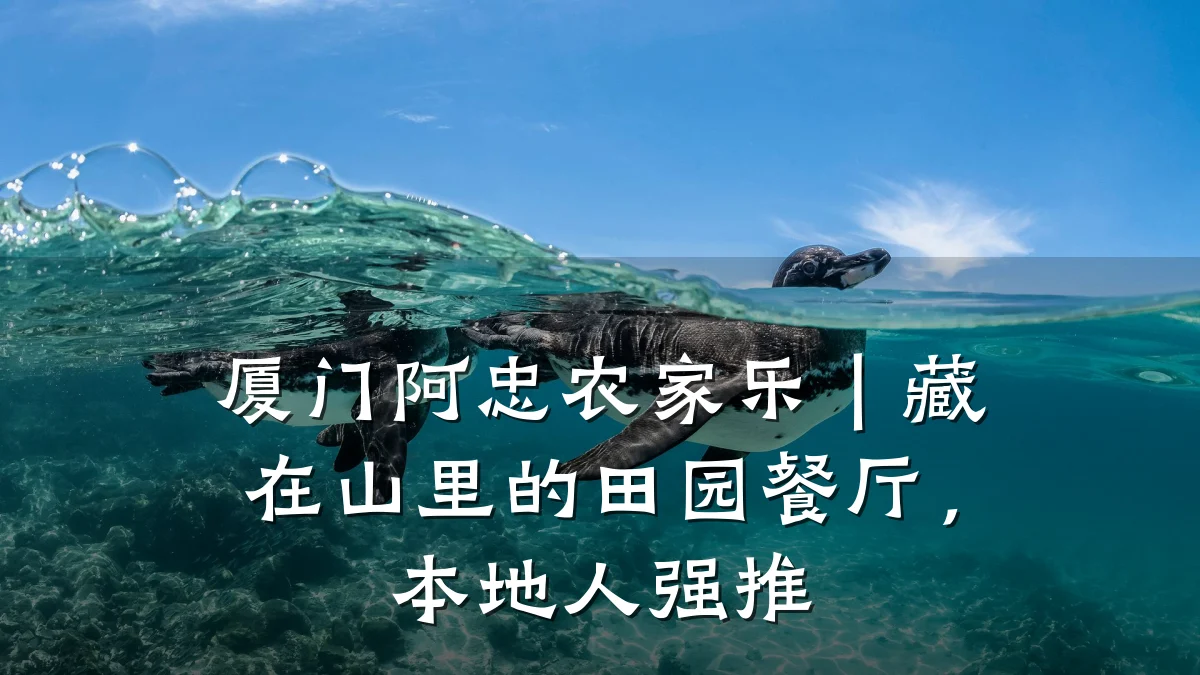厦门阿忠农家乐|藏在山里的田园餐厅,本地人强推