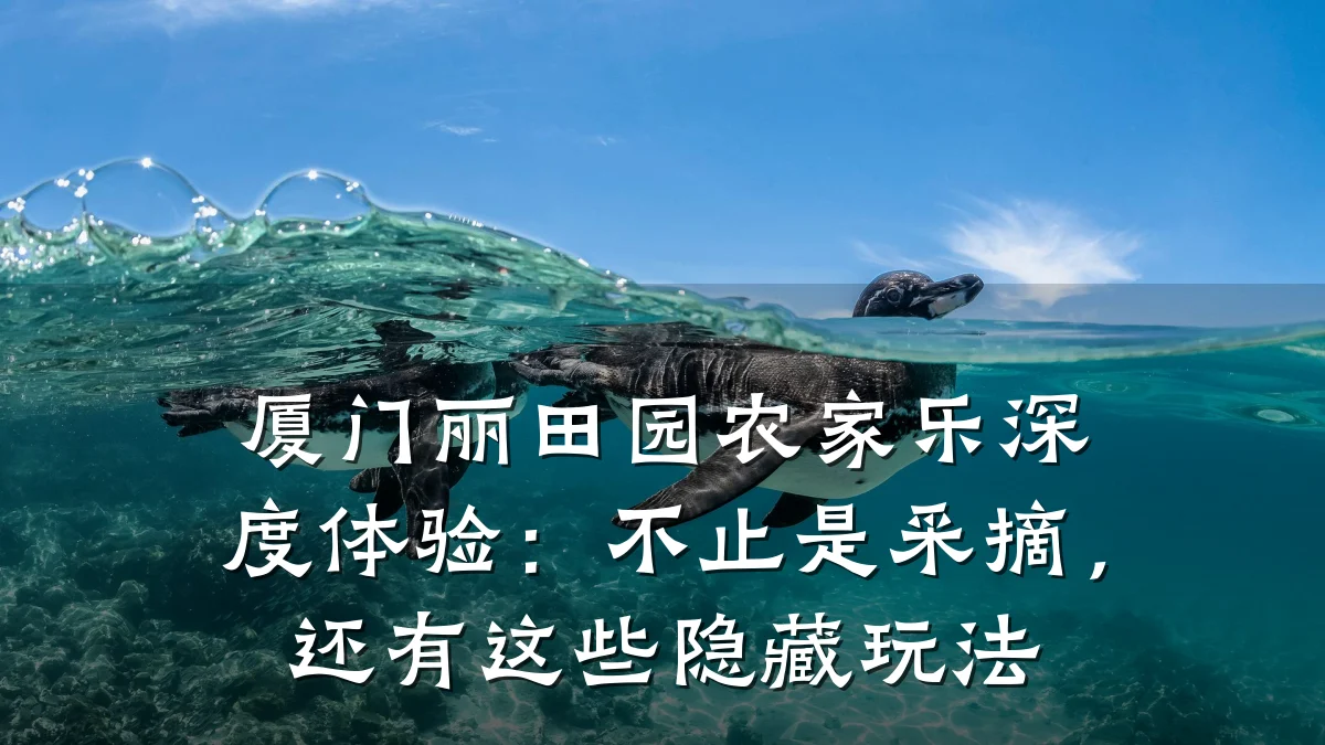 厦门丽田园农家乐深度体验:不止是采摘,还有这些隐藏玩法