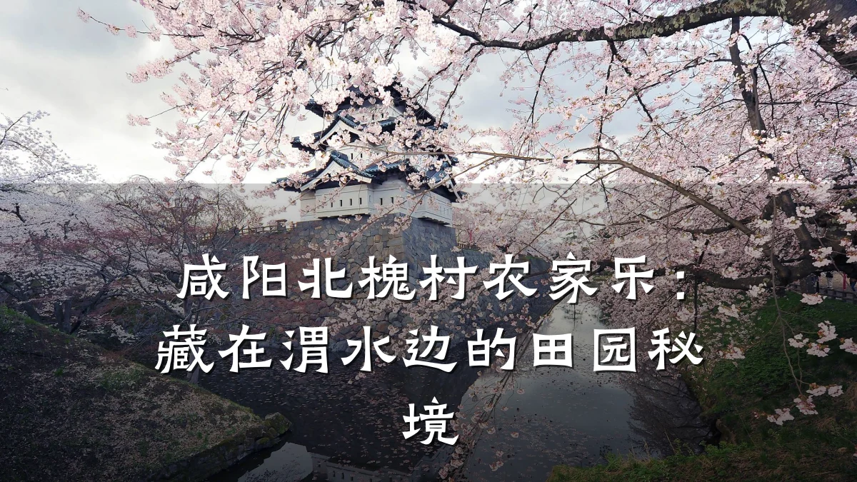 咸阳北槐村农家乐:藏在渭水边的田园秘境