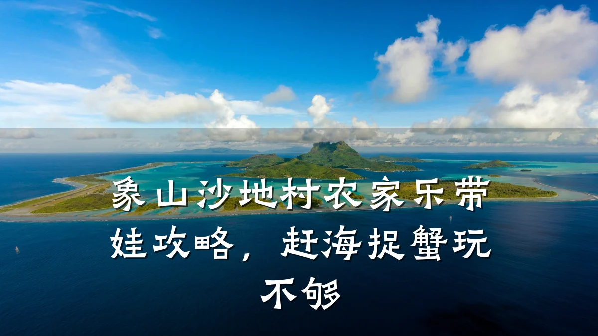 象山沙地村农家乐带娃攻略,赶海捉蟹玩不够