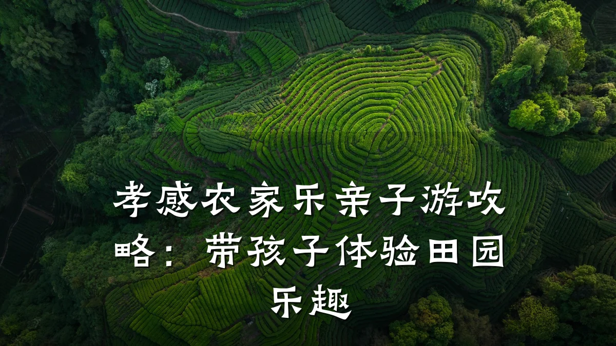 孝感农家乐亲子游攻略:带孩子体验田园乐趣