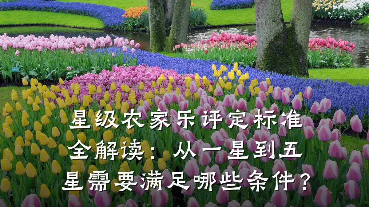 星级农家乐评定标准全解读:从一星到五星需要满足哪些条件?