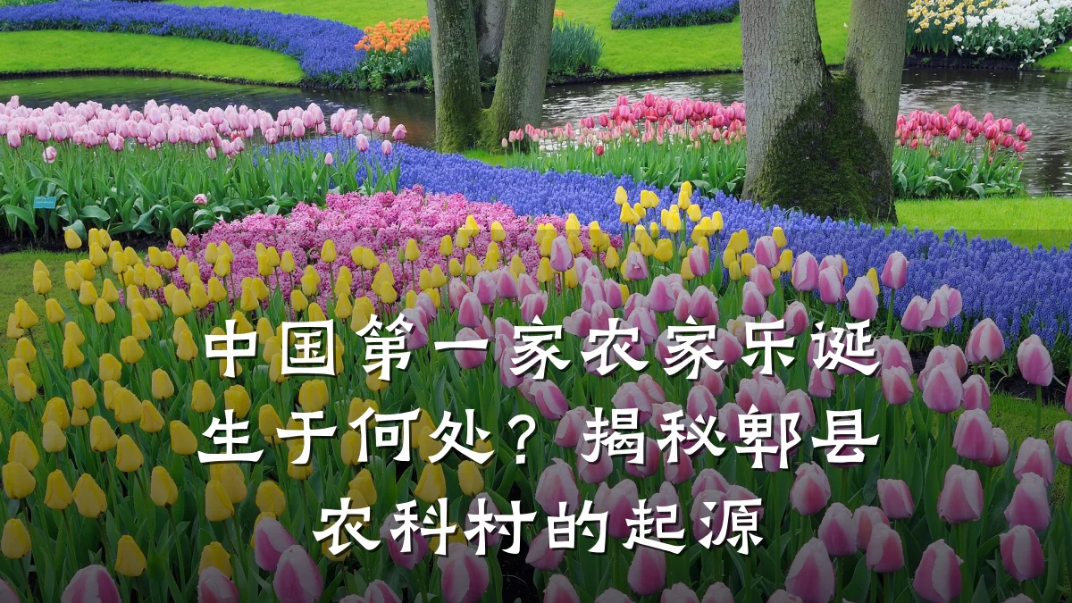 中国第一家农家乐诞生于何处?揭秘郫县农科村的起源
