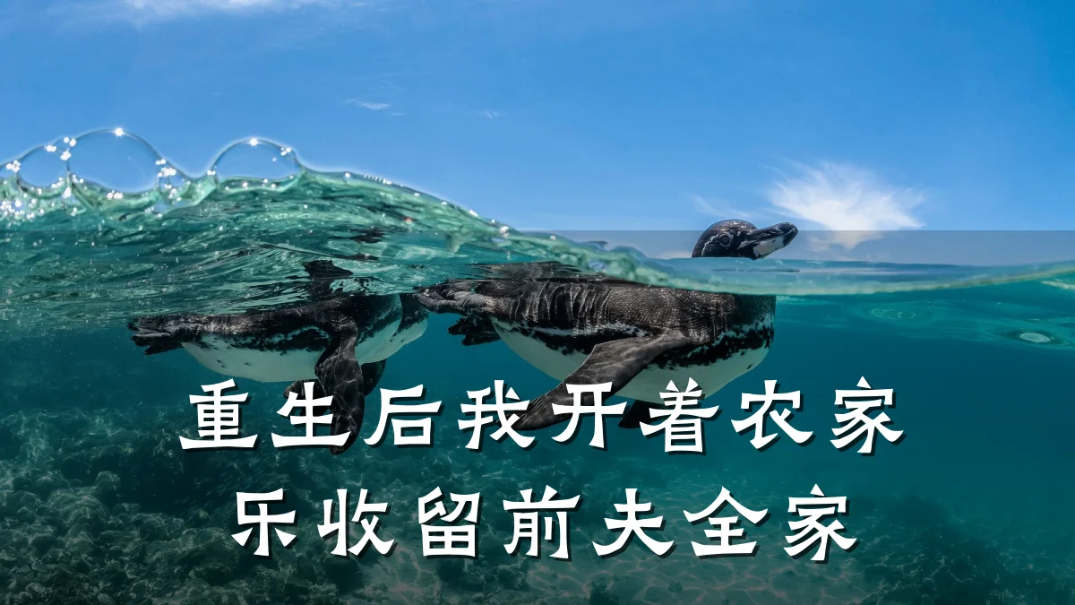 重生后我开着农家乐收留前夫全家