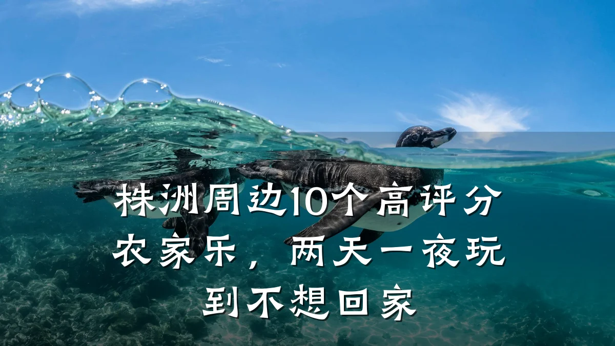 株洲周边10个高评分农家乐,两天一夜玩到不想回家