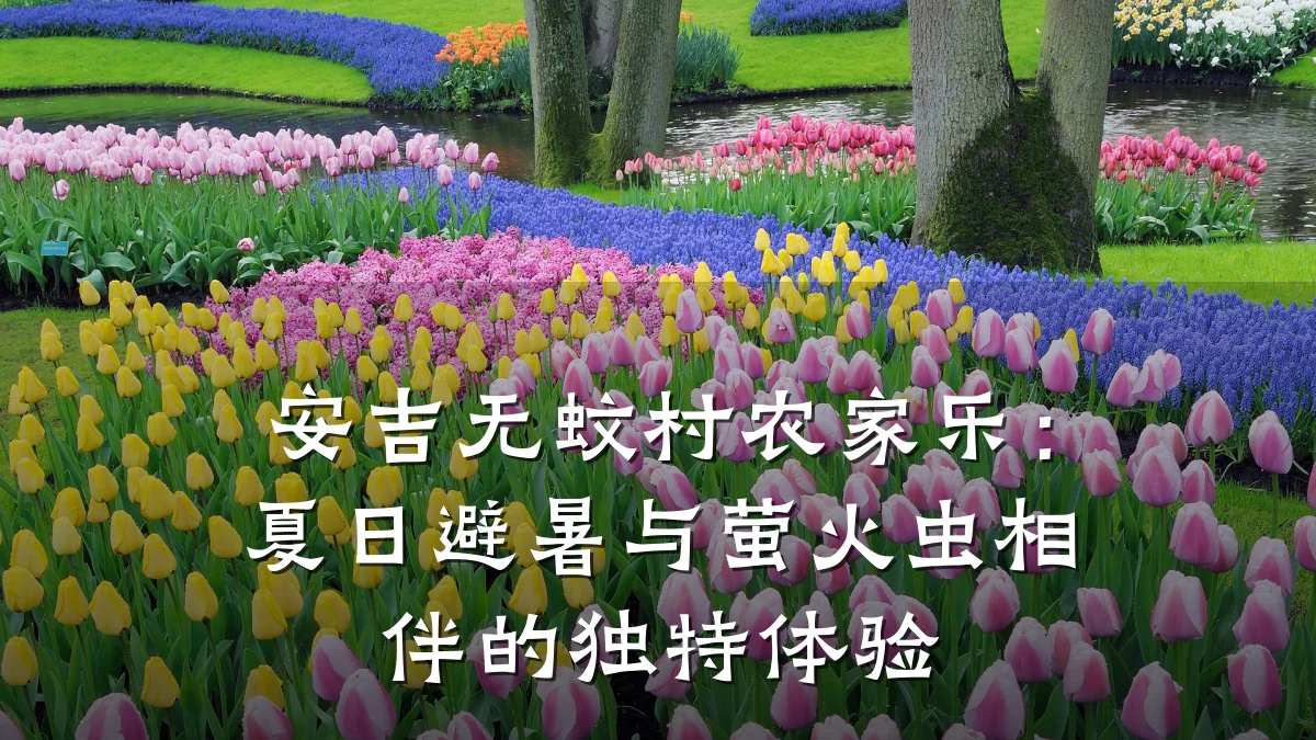 安吉无蚊村农家乐:夏日避暑与萤火虫相伴的独特体验