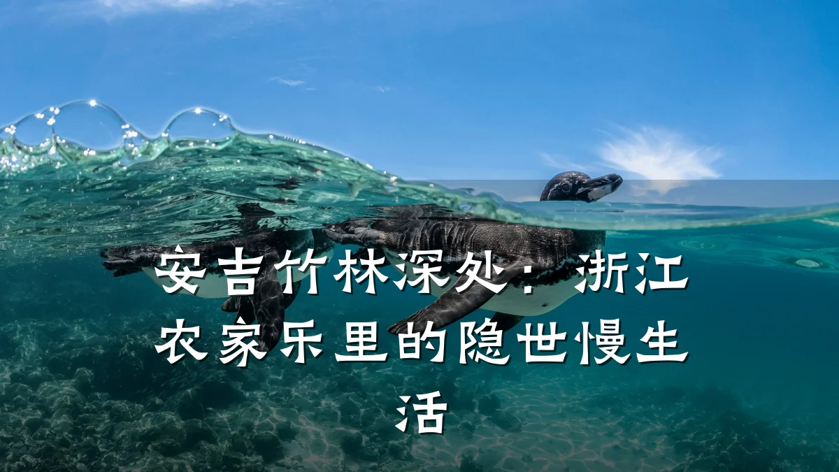 安吉竹林深处:浙江农家乐里的隐世慢生活