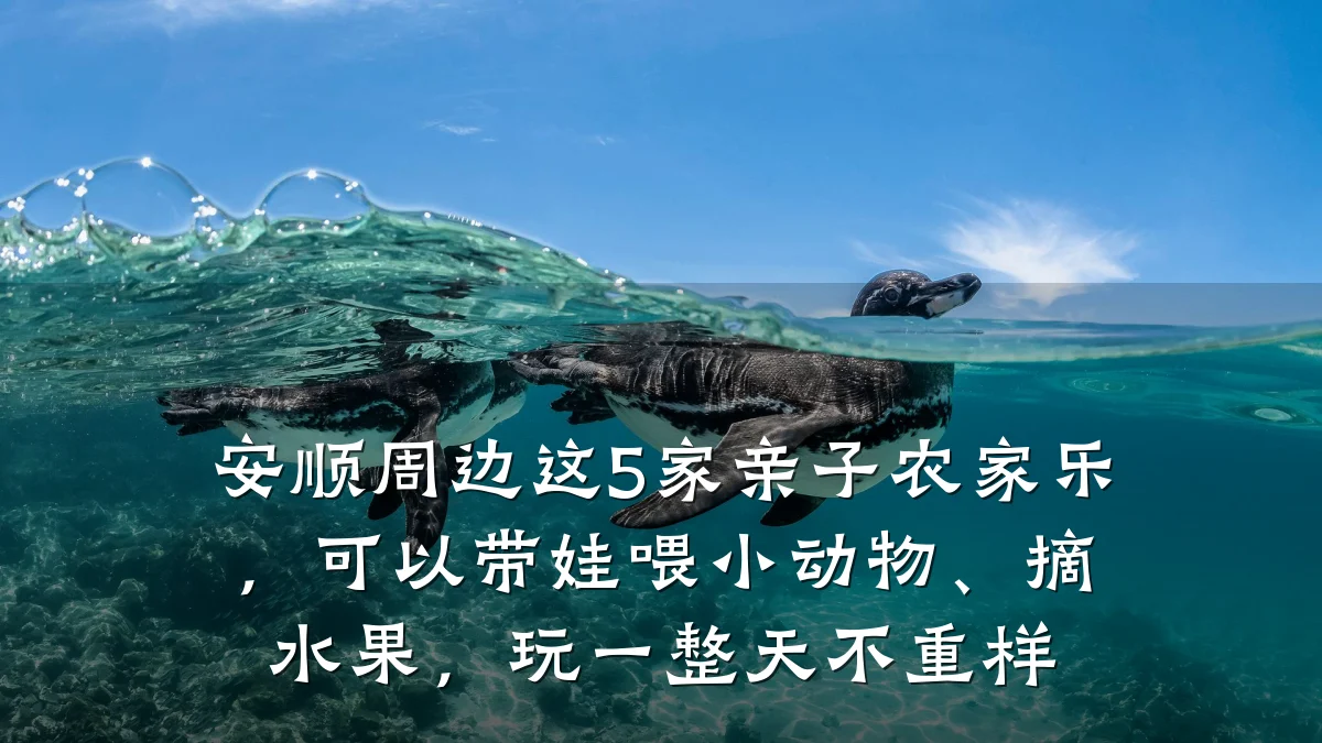 安顺周边这5家亲子农家乐,可以带娃喂小动物、摘水果,玩一整天不重样