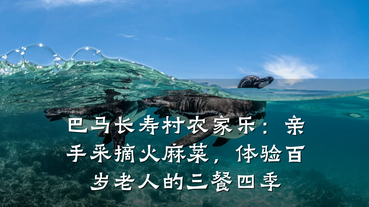 巴马长寿村农家乐:亲手采摘火麻菜,体验百岁老人的三餐四季