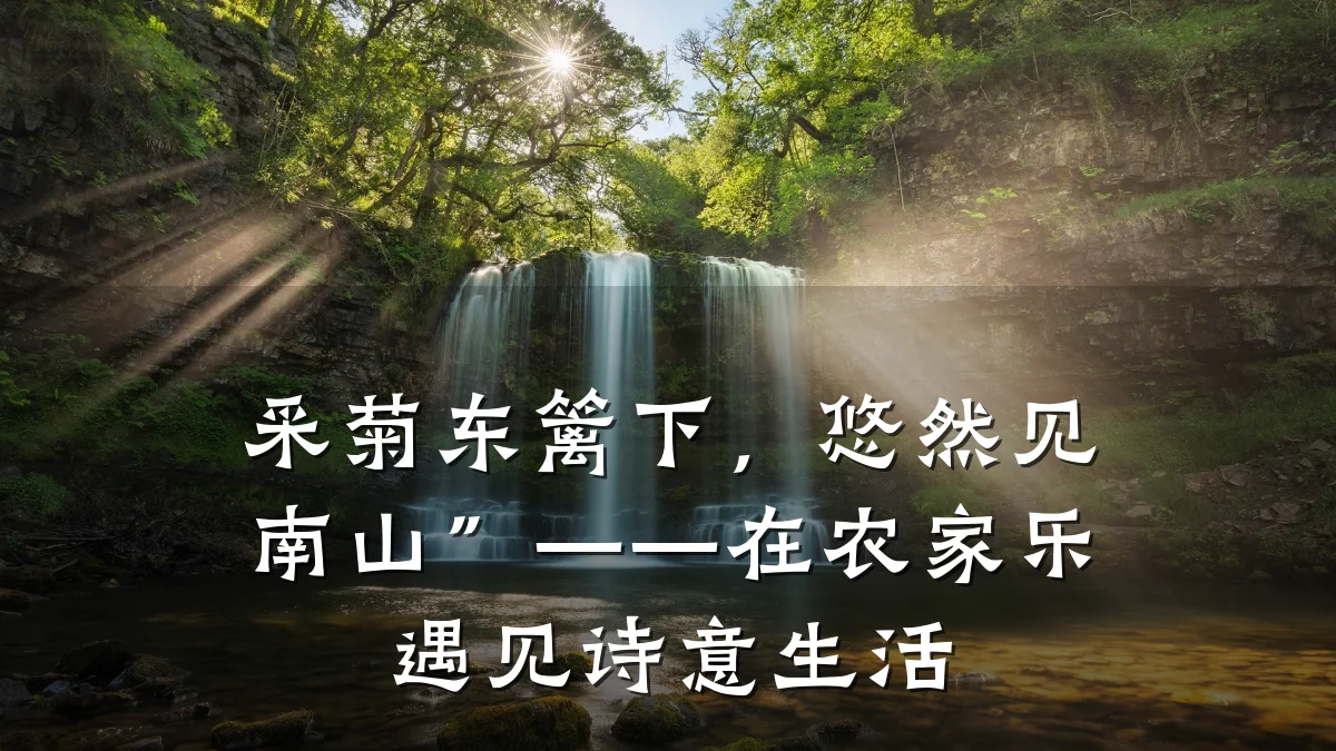 采菊东篱下,悠然见南山”——在农家乐遇见诗意生活