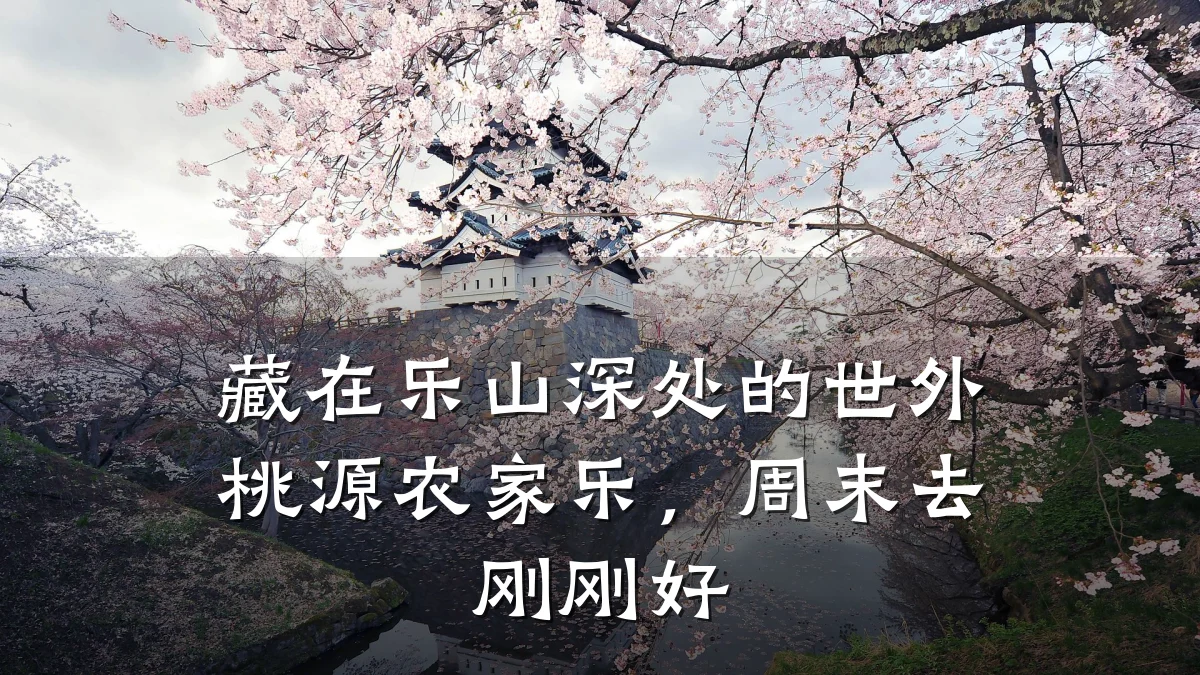 藏在乐山深处的世外桃源农家乐,周末去刚刚好