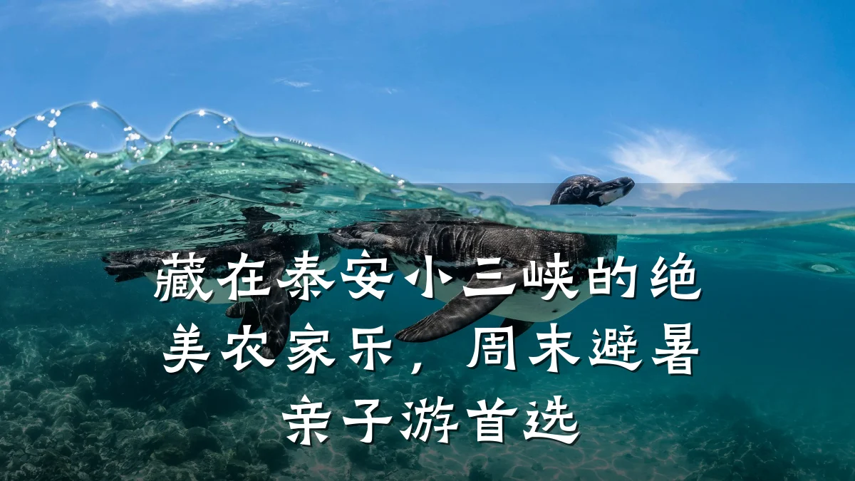 藏在泰安小三峡的绝美农家乐,周末避暑亲子游首选