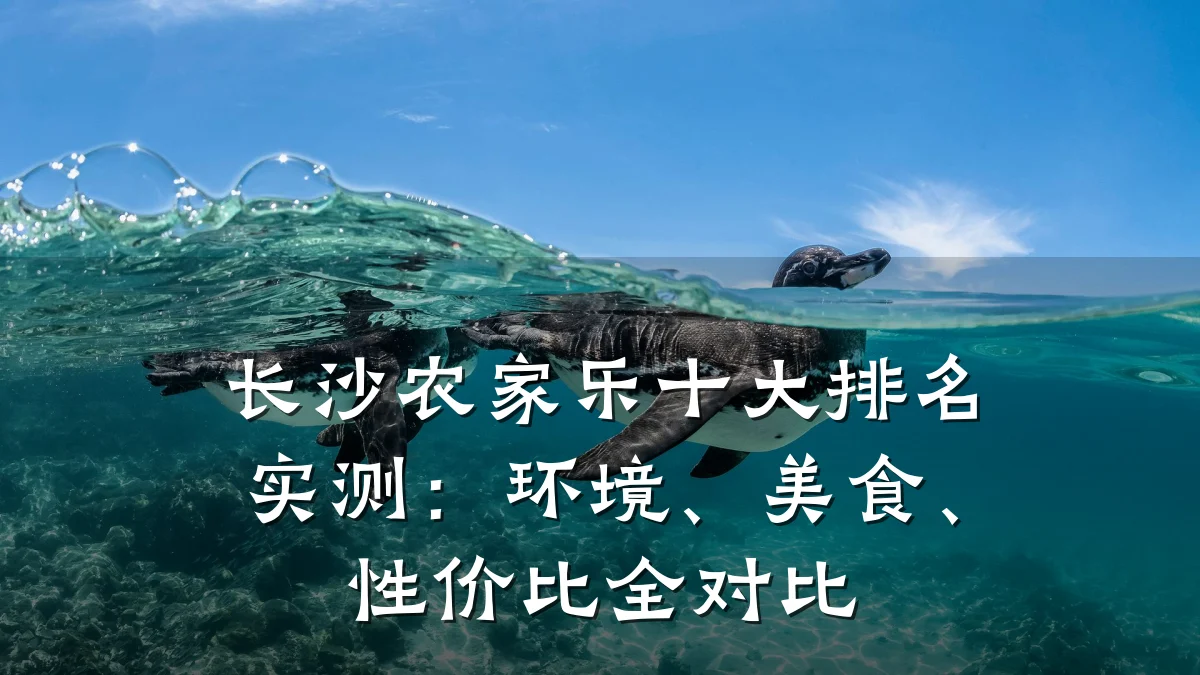 长沙农家乐十大排名实测:环境、美食、性价比全对比