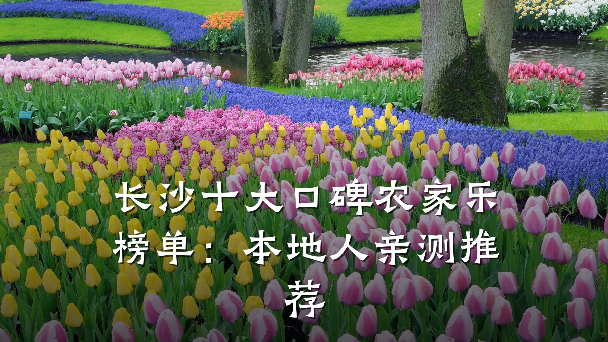 长沙十大口碑农家乐榜单:本地人亲测推荐