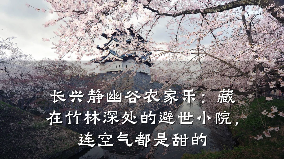 长兴静幽谷农家乐:藏在竹林深处的避世小院,连空气都是甜的