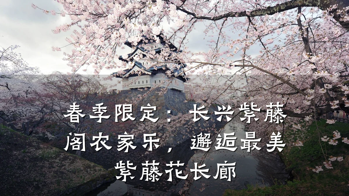春季限定:长兴紫藤阁农家乐,邂逅最美紫藤花长廊