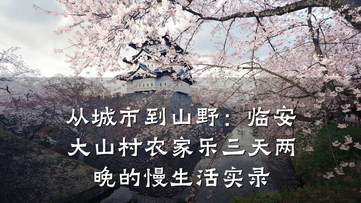 从城市到山野:临安大山村农家乐三天两晚的慢生活实录