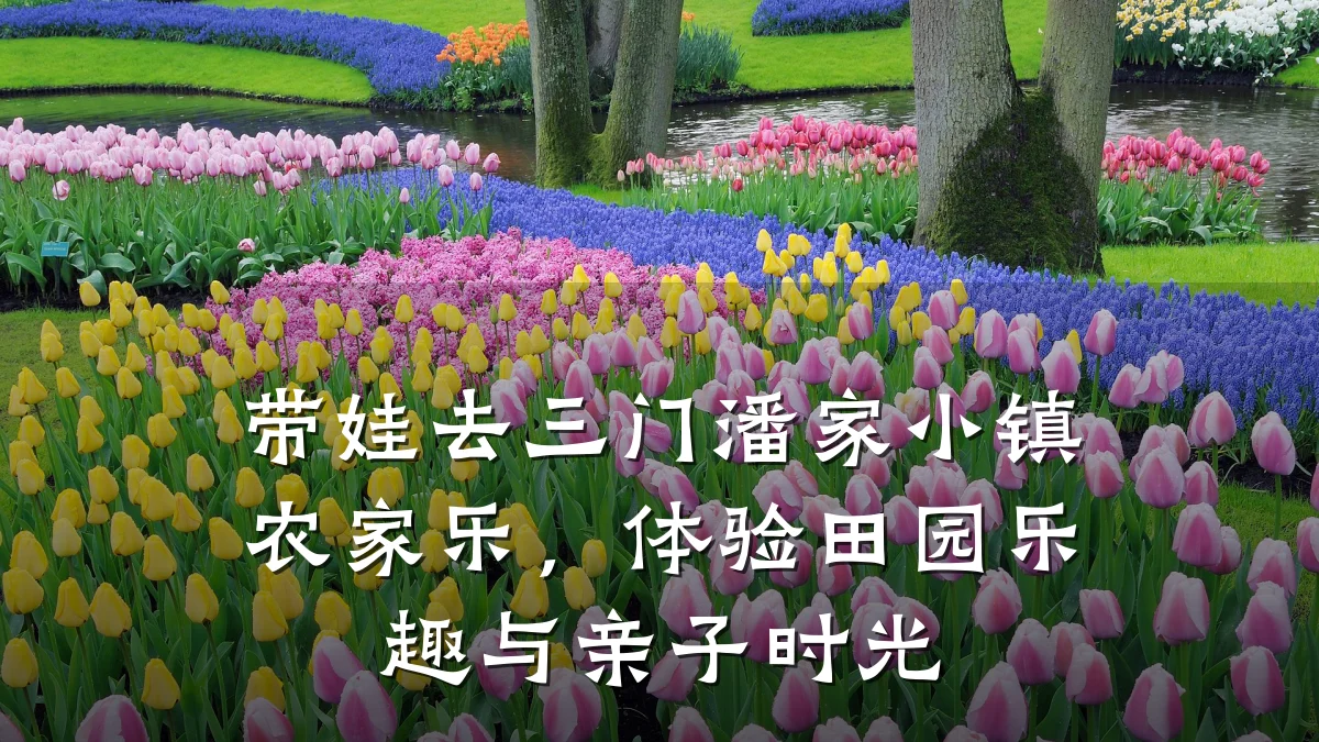 带娃去三门潘家小镇农家乐,体验田园乐趣与亲子时光