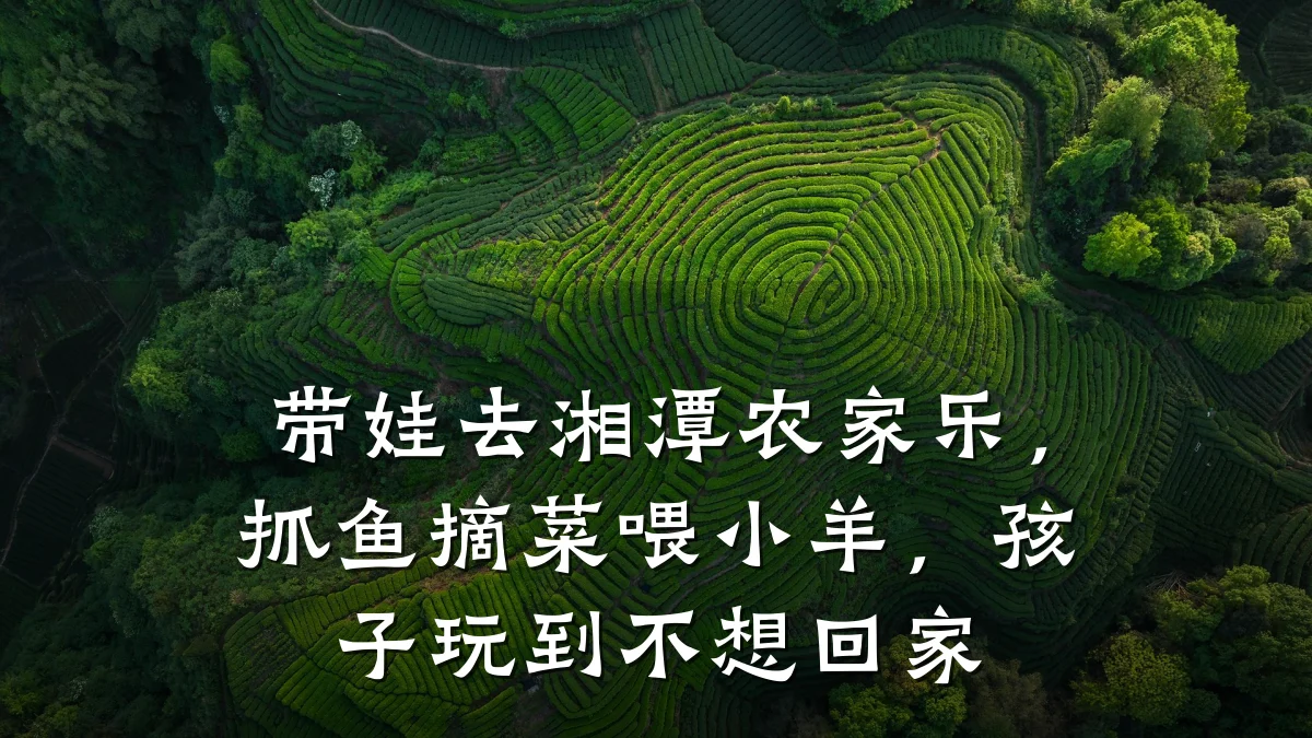 带娃去湘潭农家乐,抓鱼摘菜喂小羊,孩子玩到不想回家
