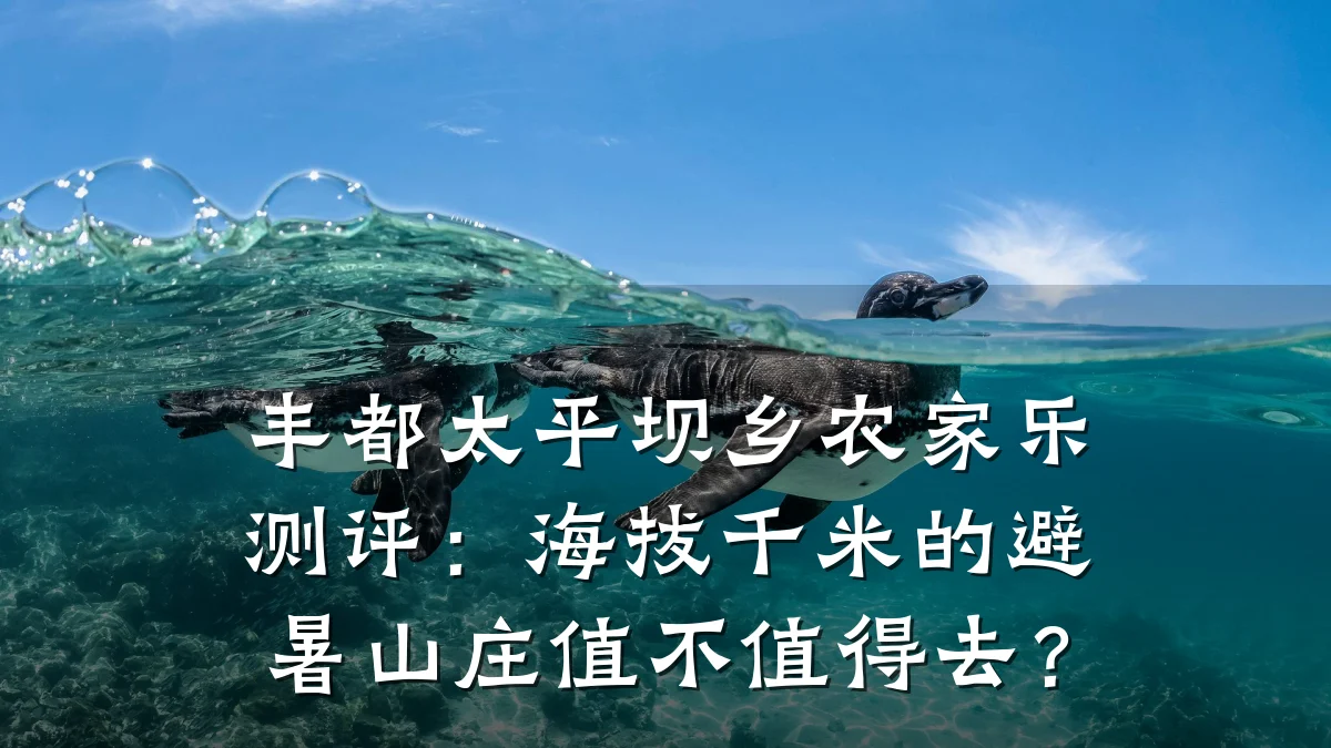 丰都太平坝乡农家乐测评:海拔千米的避暑山庄值不值得去?