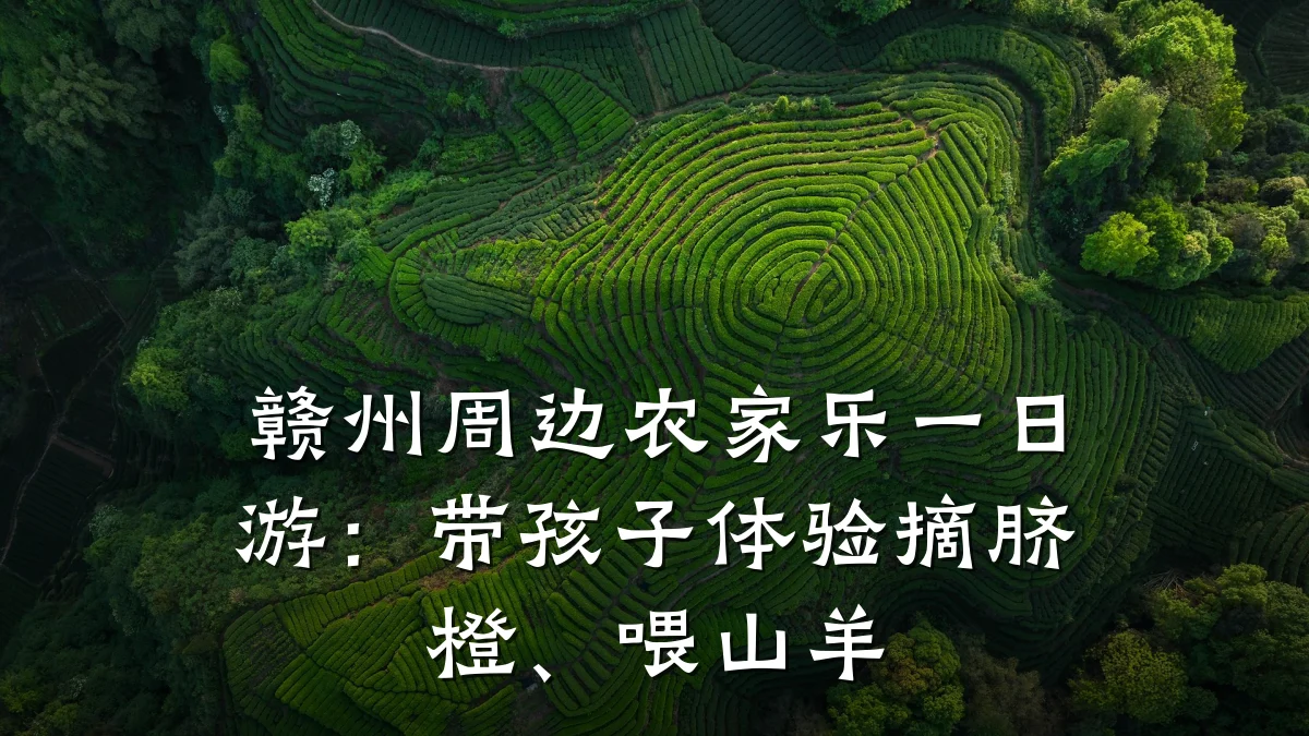 赣州周边农家乐一日游:带孩子体验摘脐橙、喂山羊