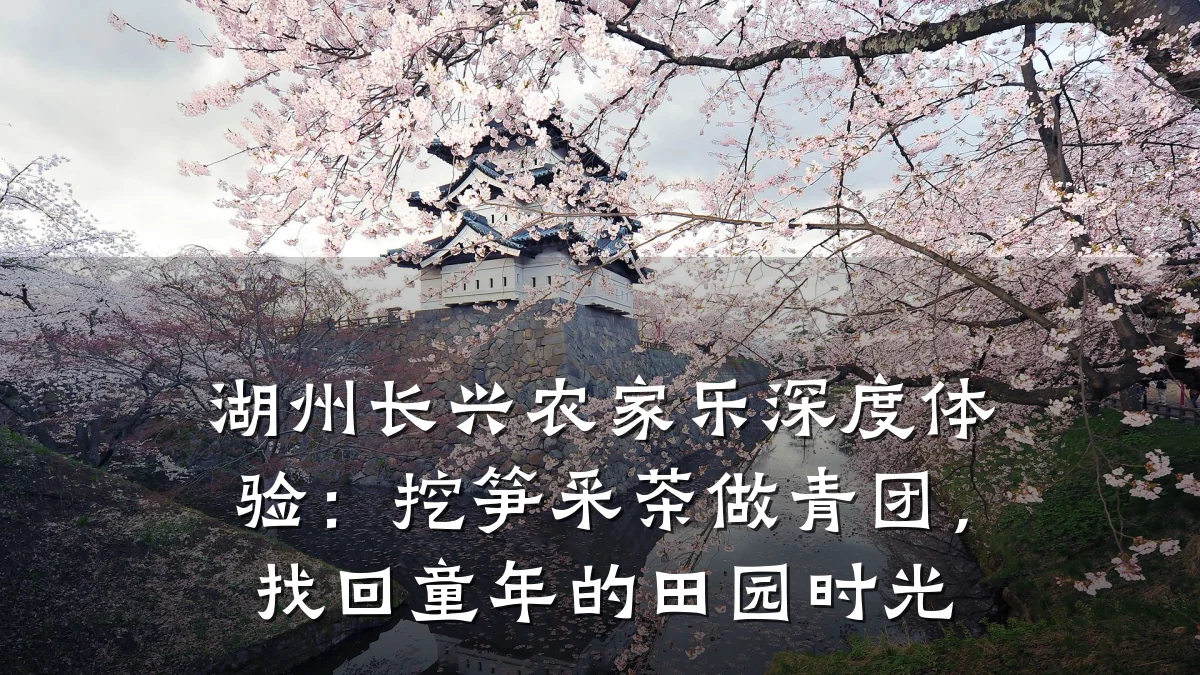 湖州长兴农家乐深度体验:挖笋采茶做青团,找回童年的田园时光