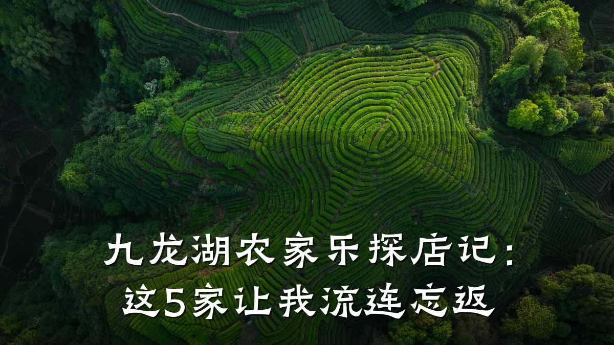 九龙湖农家乐探店记:这5家让我流连忘返
