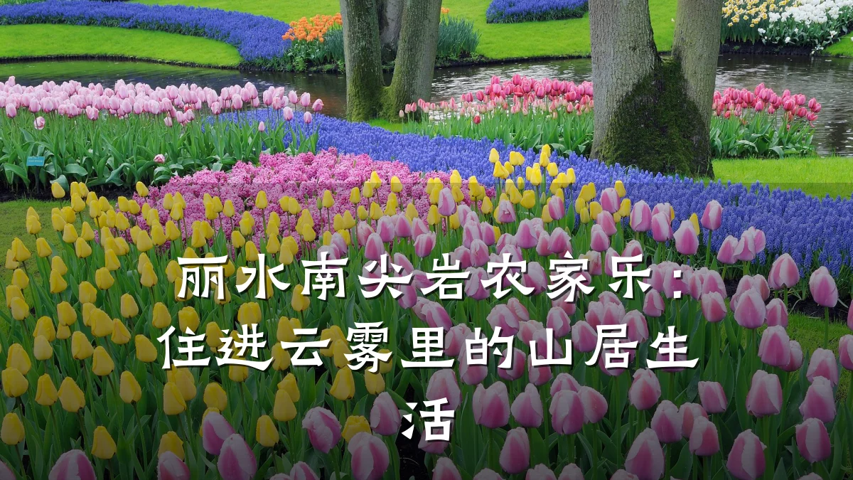 丽水南尖岩农家乐:住进云雾里的山居生活
