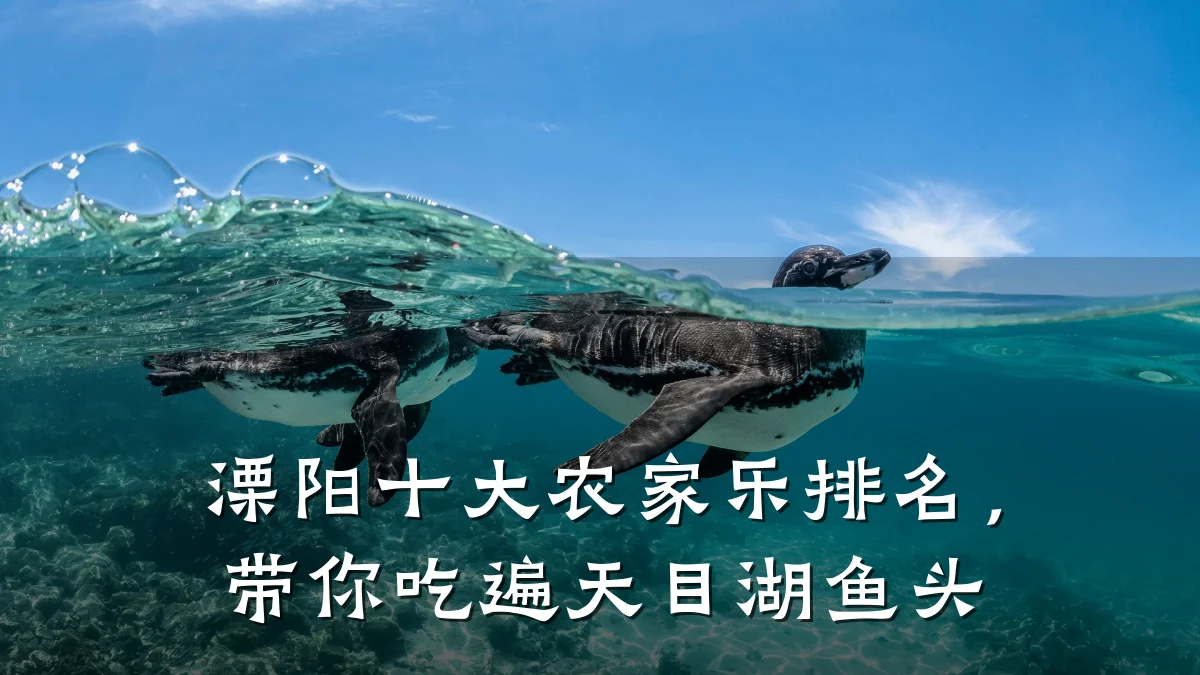 溧阳十大农家乐排名,带你吃遍天目湖鱼头