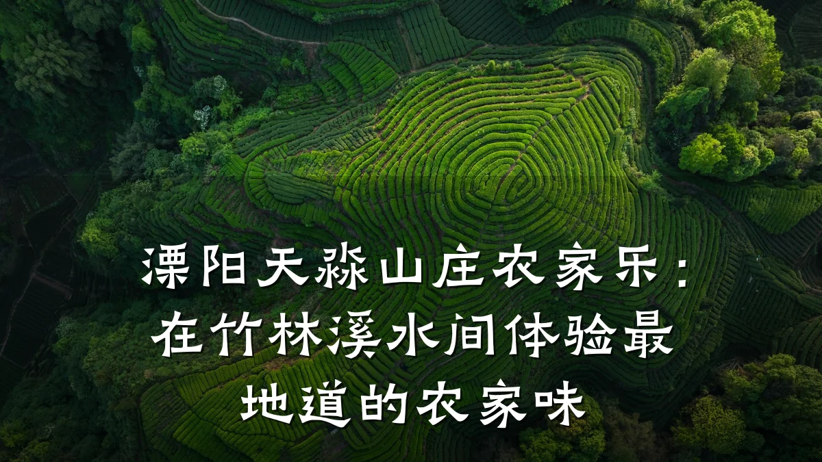 溧阳天淼山庄农家乐:在竹林溪水间体验最地道的农家味