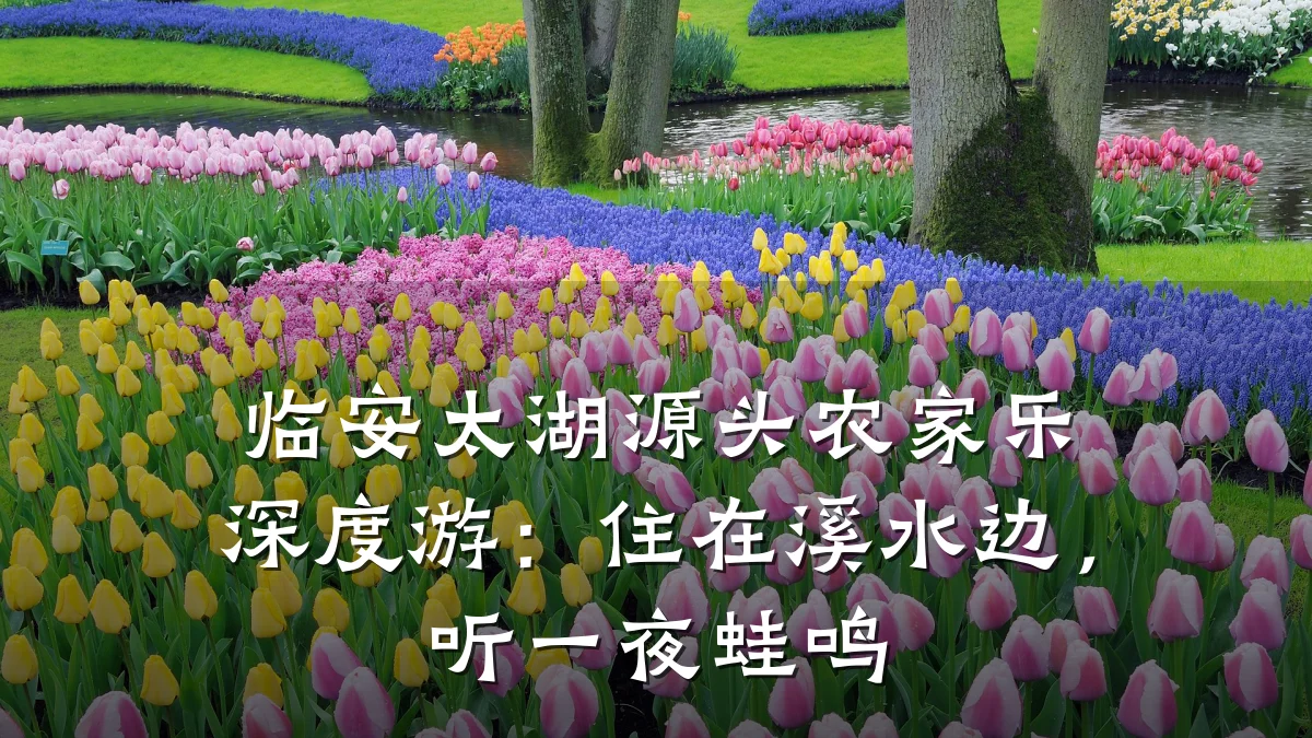 临安太湖源头农家乐深度游:住在溪水边,听一夜蛙鸣