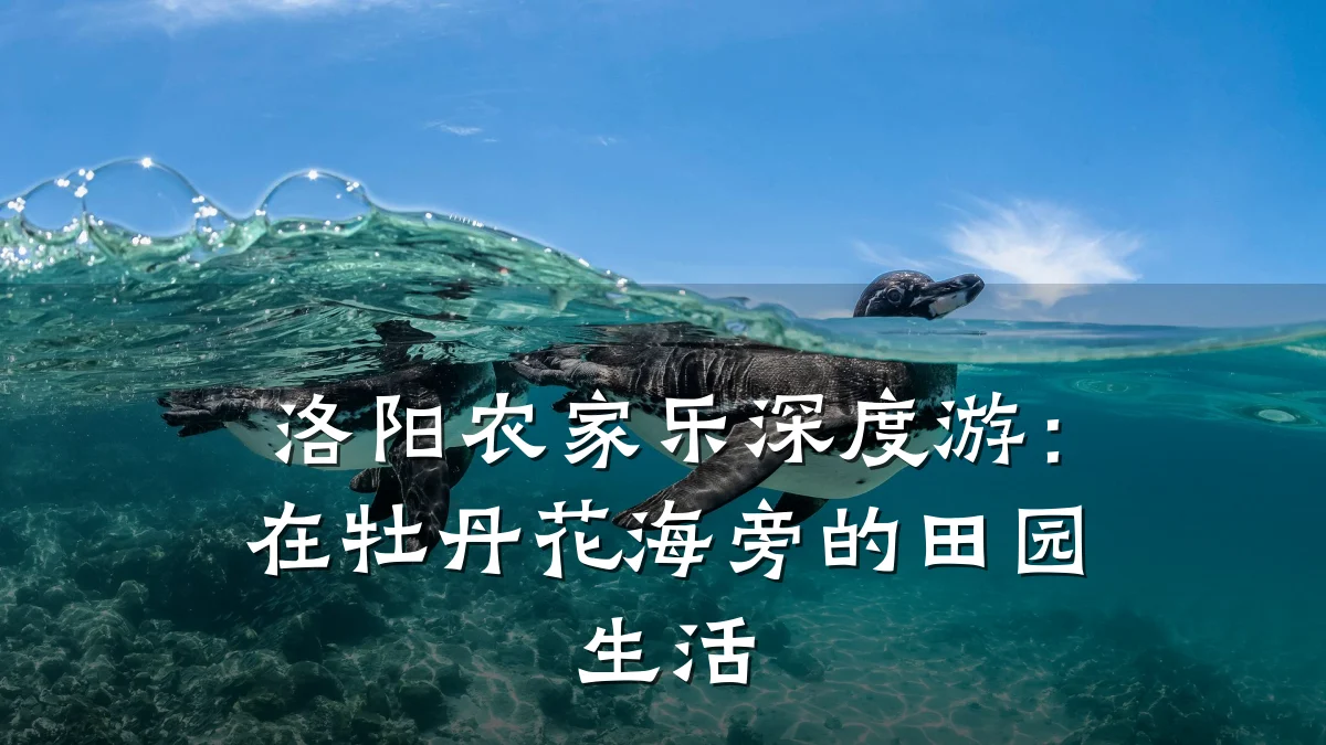 洛阳农家乐深度游:在牡丹花海旁的田园生活