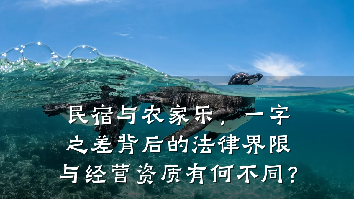 民宿与农家乐,一字之差背后的法律界限与经营资质有何不同?