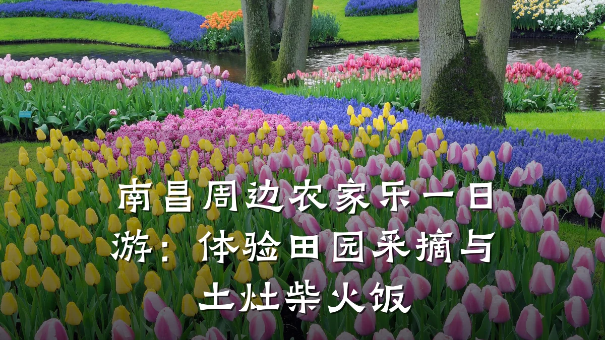 南昌周边农家乐一日游:体验田园采摘与土灶柴火饭
