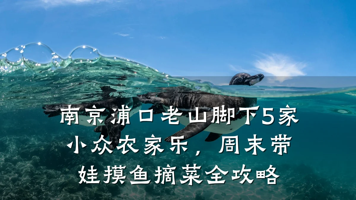 南京浦口老山脚下5家小众农家乐,周末带娃摸鱼摘菜全攻略