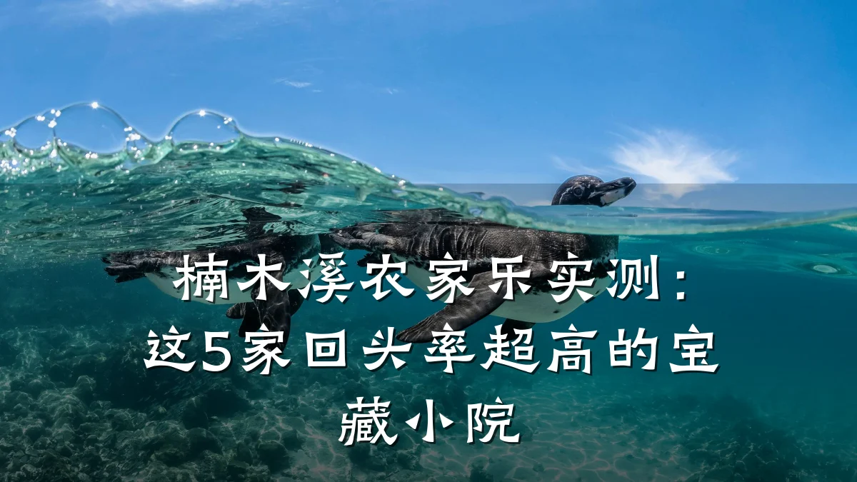 楠木溪农家乐实测:这5家回头率超高的宝藏小院