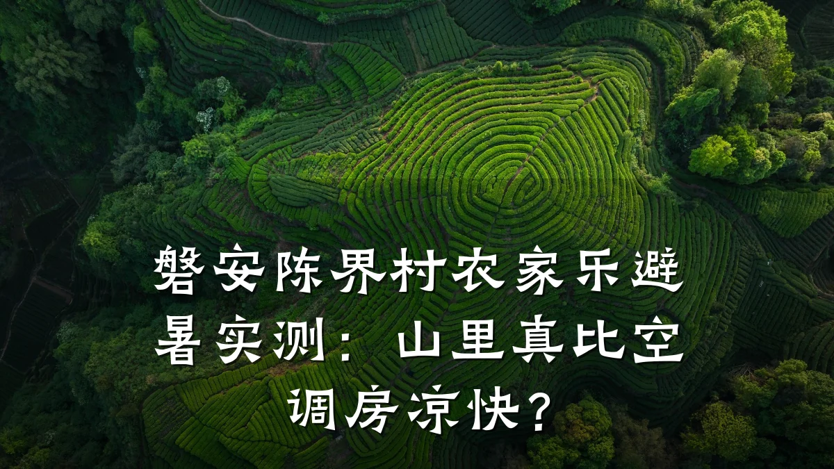 磐安陈界村农家乐避暑实测:山里真比空调房凉快?