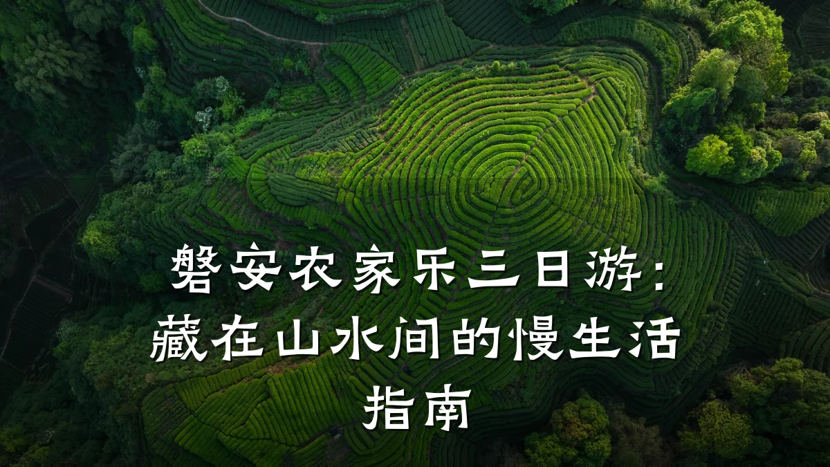磐安农家乐三日游:藏在山水间的慢生活指南