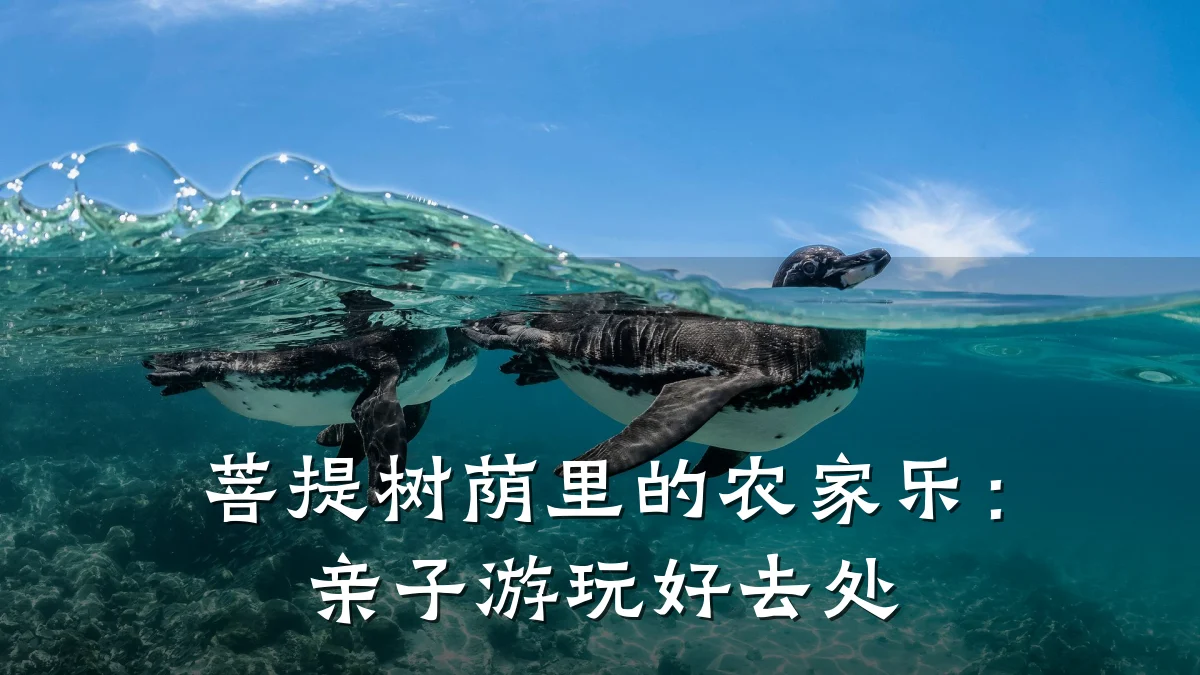 菩提树荫里的农家乐:亲子游玩好去处