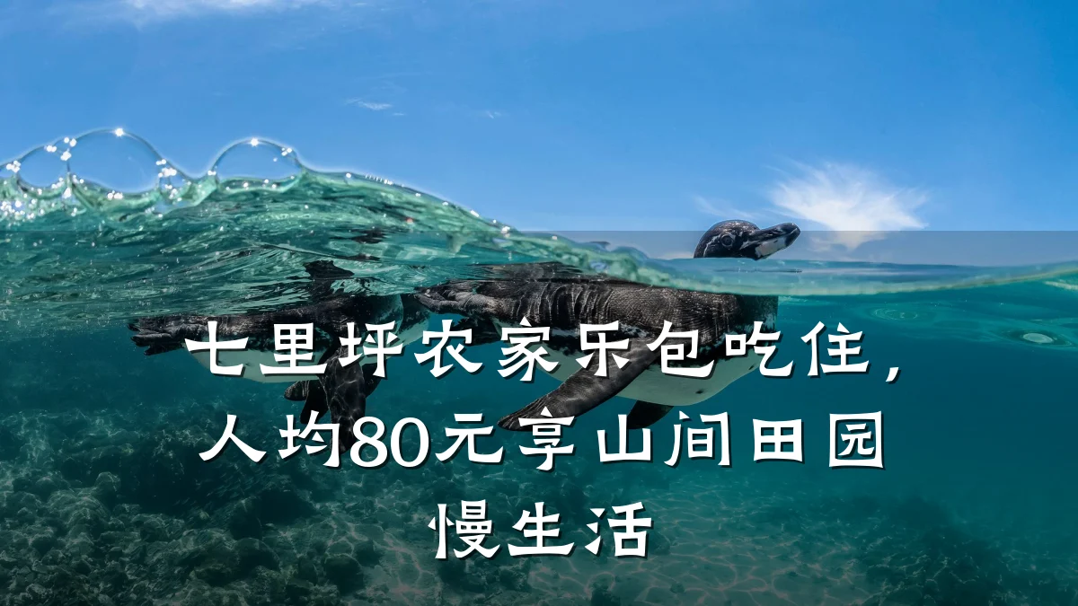 七里坪农家乐包吃住,人均80元享山间田园慢生活