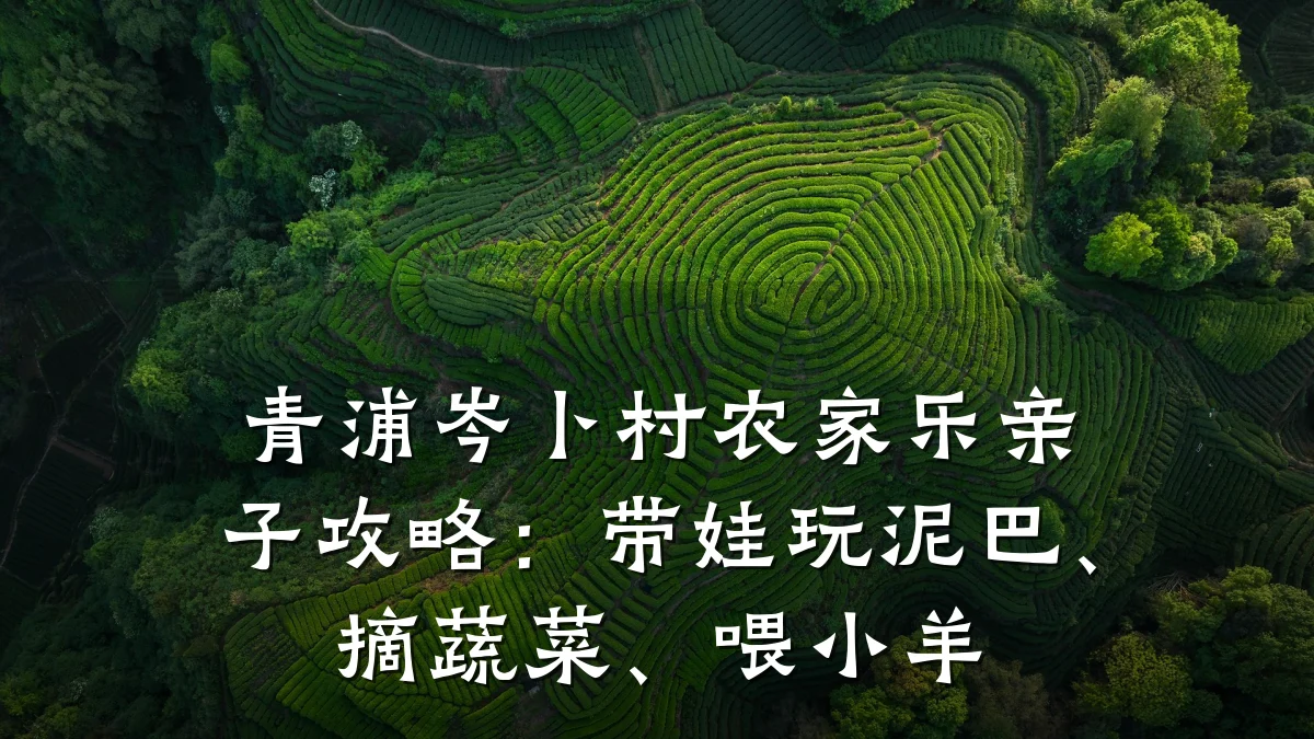 青浦岑卜村农家乐亲子攻略:带娃玩泥巴、摘蔬菜、喂小羊