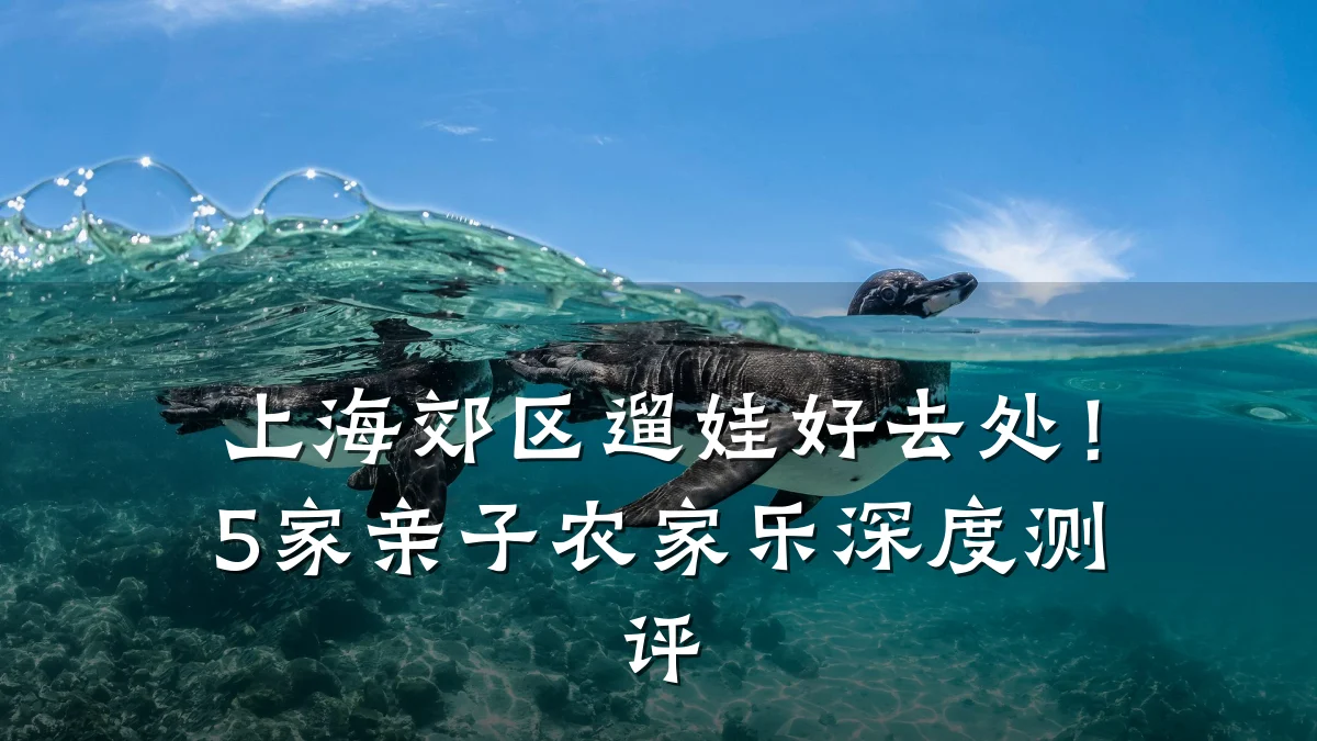 上海郊区遛娃好去处！5家亲子农家乐深度测评