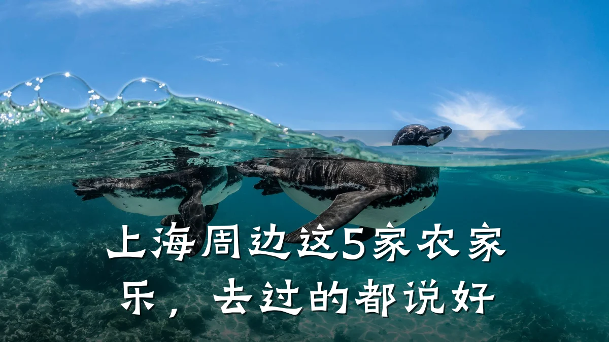 上海周边这5家农家乐,去过的都说好